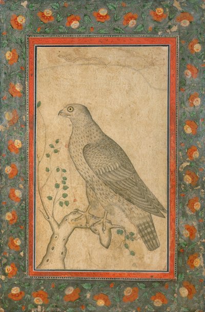 Falke auf einem belaubten Baumstumpf, um 1650 von Mughal School